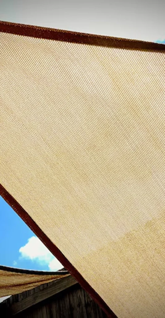 Why Choose Us Img (2)